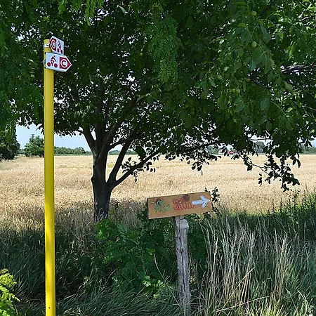 Filia 2* Okoc - Velky Sek